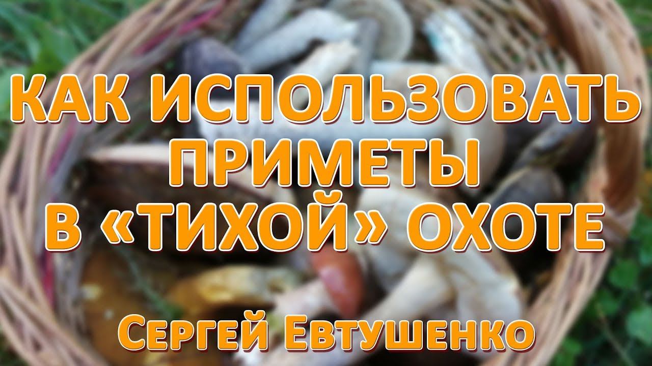 Как использовать приметы в "охоте" на грибы.