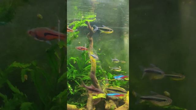 🙏 ХРАМ ВСЕХ РЕЛИГИЙ 🙏( призрачный песок и молочный суп в туалете) смотреть онлайн