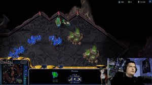 StarCraft 2 Zerg Things