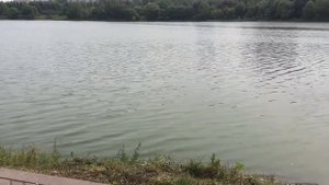 Москворечье- Сабурово