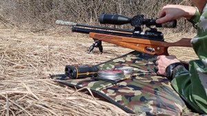 150м Егерь 5,5 JSB knockout
