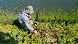 Ловим рыбу трубой. Эксперимент.