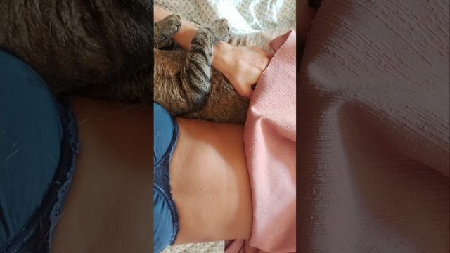 бесстыжий смотреть онлайн