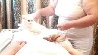 Кузнецова Светлана Борисовна - специалист общего оздоровительного смотреть онлайн