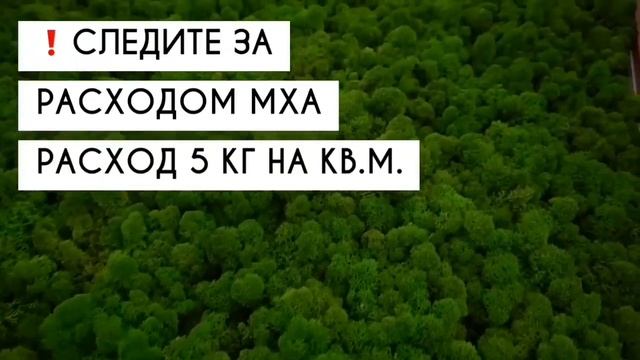 Мастер - класс по озеленению стабилизированным Мхом «под ключ»