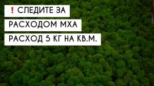 Мастер - класс по озеленению стабилизированным Мхом «под ключ»