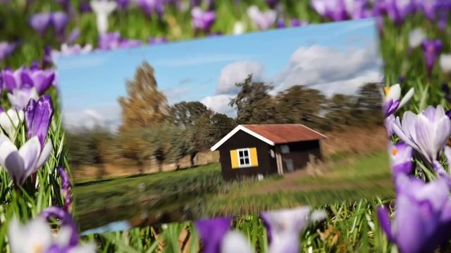 История из жизни. Аудиорассказ. Жизненная история. Дача в подарок.