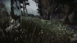 Скайрим ТОП 5 НОВЫХ ЛУЧШИХ ENB 2021 ГОДА