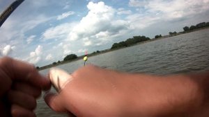 летняя рыбалка перед дождем карась на болонскую удочку