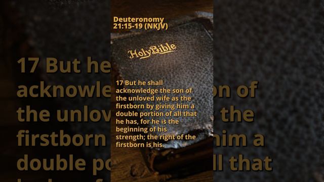 Deuteronomy 21:15-19 (NKJV)