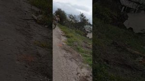 Белогоровка, Луганська Область/Belohorivka, Luhansk Region. 12.09.2022