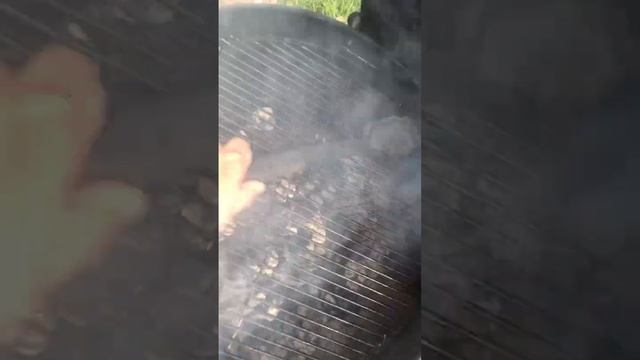 Charcoal Grilling chicken thighs￼