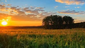 ЗАНЯЛАСЯ ЗАРЯ РАСПИСНАЯ