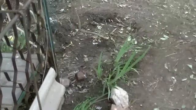 Простые советы КАК быстро и легко связать АРМАТУРНЫЙ КАРКАС с ХОМУТАМИ.