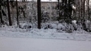 Прогулка в лесу Городомли. Воспоминания, как прошло мое детство на этом острове.
