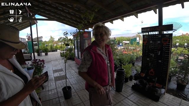 Егорьевский питомник Никитенко Александра и Сергея смотреть онлайн