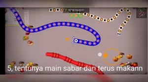 cara main cacing worm zone cepet besar