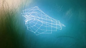 Autonomy "Silhouettes"