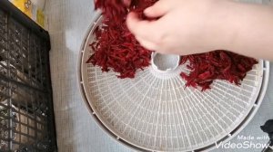 Буряк сушеный. Еда в поход и не только. Как сохранить буряк. Свёкла сушеная.