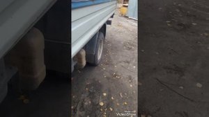 Пневмоподвеска на Газель