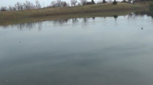 Сражение подводных лодок Б36 и u2504