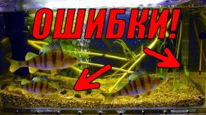 Исправил ошибки в аквариуме с речными рыбами