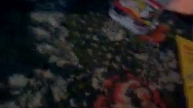 Мой портфель для рисования # что в нем лежит ♥♥♥♥♥ смотреть онлайн