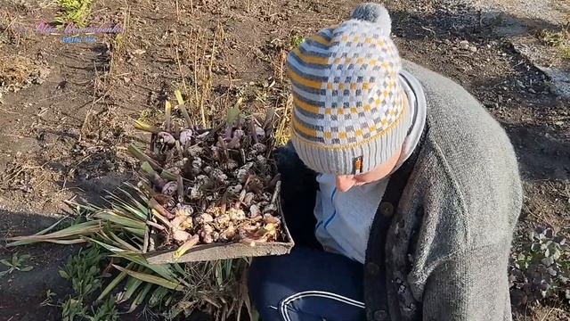Ви тільки подивіться , знову Оля працює.