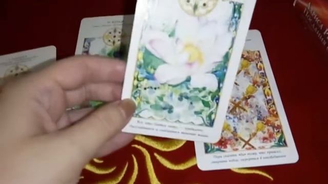 Расклад для подписчицы,Таро Послания Стихий, Перспективы по каналу любви.