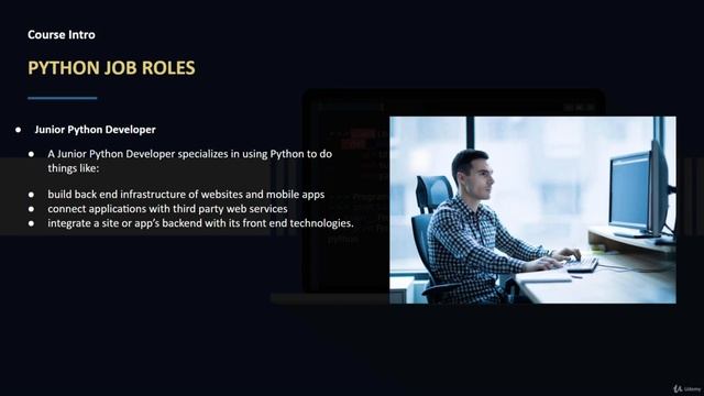 Python Programmer Job Roles