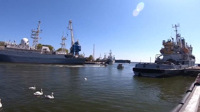 Путешествие в Калининград. Балтийск. Светлогорск. Янтарный смотреть онлайн