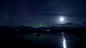 Зоны Арктических пустынь