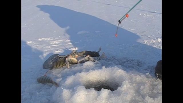Красноярское море, Залив Шумиха 1. 01. 2019 смотреть онлайн