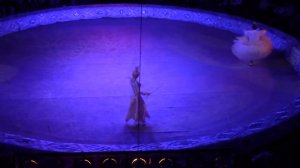 Национальный цирк видео Новогодняя елка