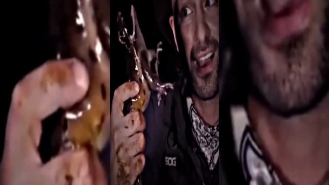 BEST MEMES EDITS TIKTOK_MEMES FUNNY MOMMENT смотреть онлайн