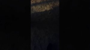 беспредел одинцовский отдел полиции