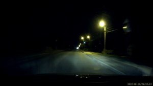 собака самоубивака