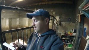 Сделал  половину свинарника, залил бетонные полы / ответ почему у меня дорогие поросята