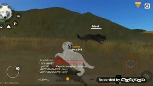 КАК СТАТЬ ЩЕНКОМ В WOLF ONLINE 2? ОТВЕТ ТУТ!!! ИГРАЮ ЗА ЩЕНКА