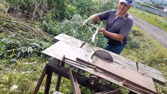 Пилит ветки деревьев на дрова.