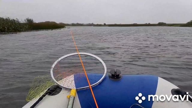 Клюёт ли щука при северовосточном ветре и непогоде? смотреть онлайн