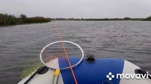 Клюёт ли щука при северовосточном ветре и непогоде?