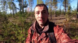 ОХОТА НА ГЛУХАРЯ И РЯБЧИКА / РАНЕВОЙ КАНАЛ ОТ 22 LR. ОХОТА С НАРЕЗНОГО ОРУЖИЯ НА БОРОВУЮ ДИЧЬ. КОМИ
