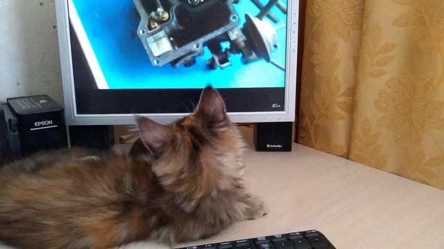 Смотрим про японский карбюратор