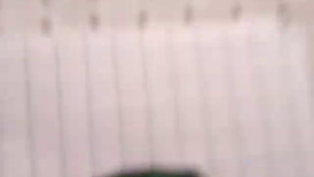 Видео урок как нарисовать авокадо смотреть онлайн