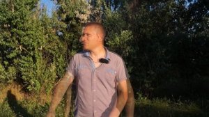Лайфхак: Лучшее средство от комаров