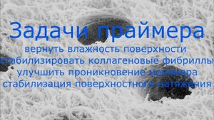 Адгезивные протоколы в стоматологии.Эволюция.