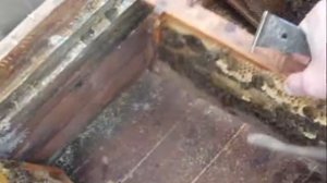 Весенняя ревизия пчелосемей  Проведение мероприятий в ульях лежаках