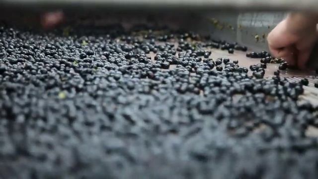 Weingut Stift Klosterneuburg смотреть онлайн