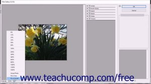 Photoshop Elements 2018 Tutorial Filters & the Filter Gallery Adobe Training